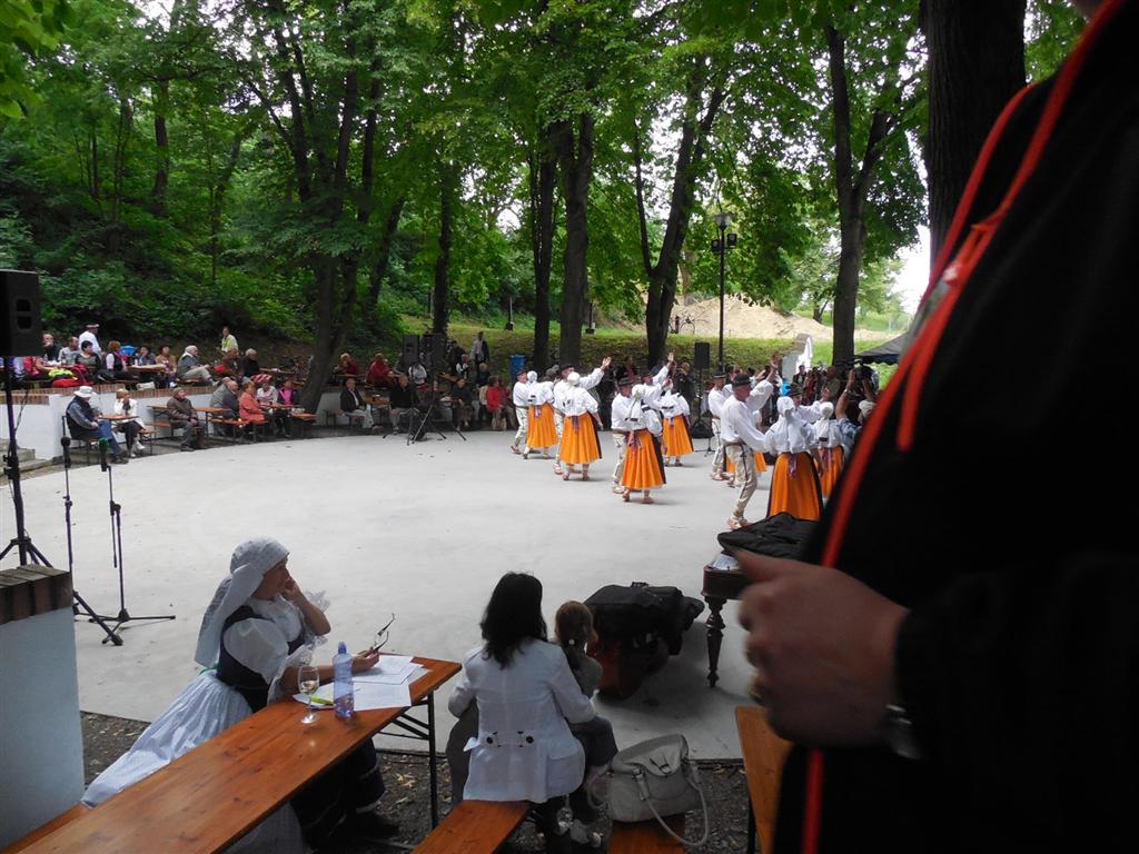Plže 2014 043 (Large)